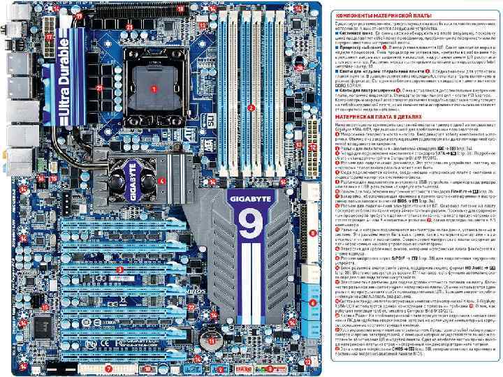 Питание материнской платы и процессора 24 8 pin какой нужен блок питания