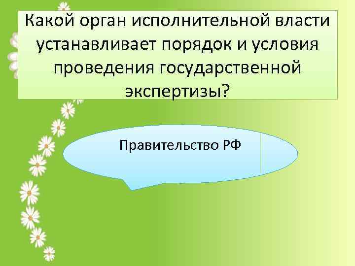 Какой орган исполнительной власти устанавливает порядок и условия проведения государственной экспертизы? Правительство РФ 