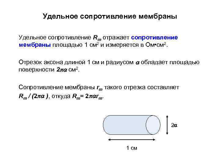 Удельное сопротивление мембраны Удельное сопротивление Rm отражает сопротивление мембраны площадью 1 см 2 и