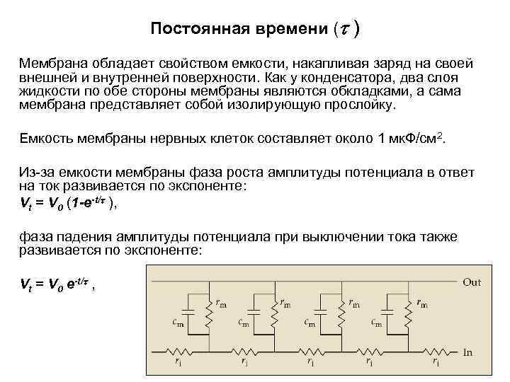 Постоянная времени ( ) Мембрана обладает свойством емкости, накапливая заряд на своей внешней и