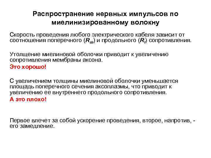 Распространение нервных импульсов по миелинизированному волокну Скорость проведения любого электрического кабеля зависит от соотношения