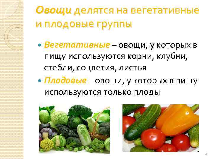 Овощ входящий в состав. Вегетативные и плодовые овощи. Овощи классификация овощей. Вегетативное свежие овощи. Плодовые овощи классификация.