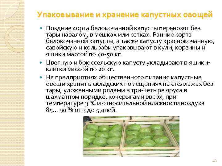 Качество хранения овощей. Условия хранения капустных овощей. Хранение свежих овощей. Методы хранения капусты. Упаковка и хранение капустных овощей.