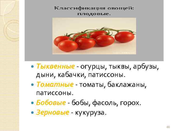 Какое овощное растение в старину называли королем овощей томат или шпинат