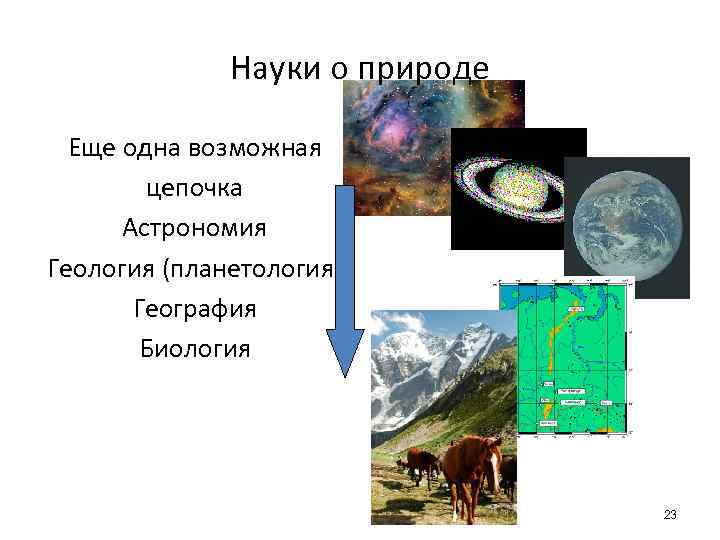 Науки о природе Еще одна возможная цепочка Астрономия Геология (планетология) География Биология 23 