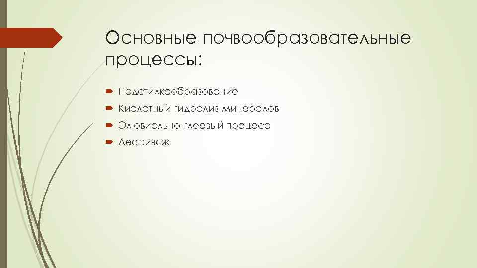 Основные почвообразовательные процессы: Подстилкообразование Кислотный гидролиз минералов Элювиально-глеевый процесс Лессиваж 