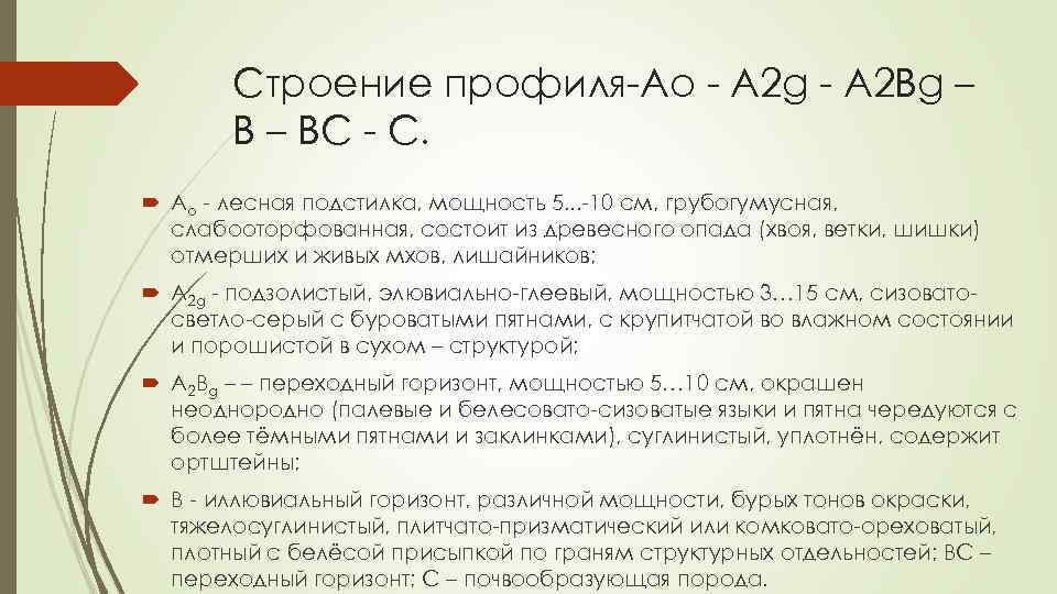 Строение профиля-Ао - А 2 g - А 2 Вg – ВС - С.