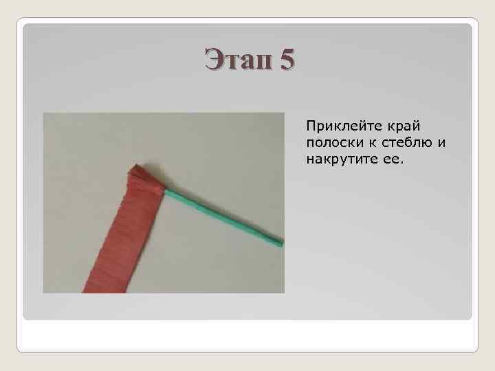 Этап 5 Приклейте край полоски к стеблю и накрутите ее. 