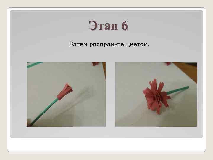 Этап 6 Затем расправьте цветок. 