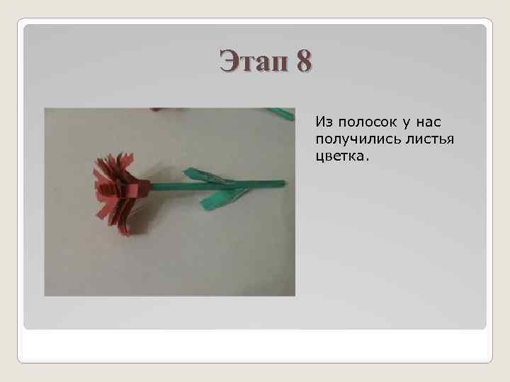Этап 8 Из полосок у нас получились листья цветка. 
