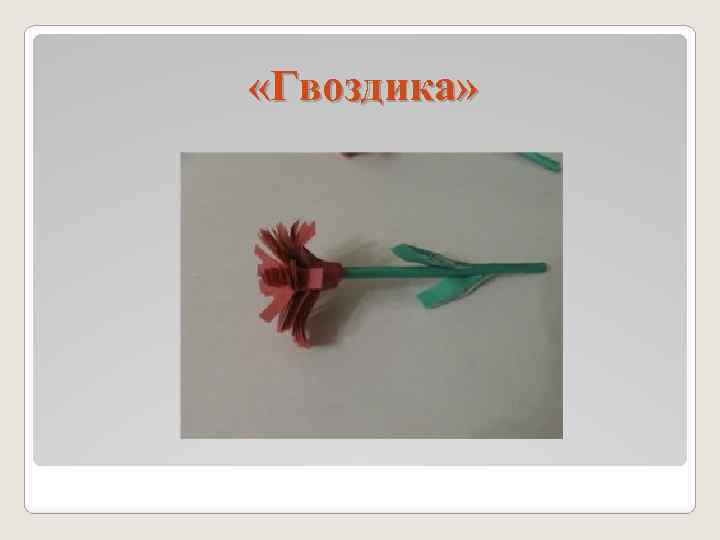  «Гвоздика» 