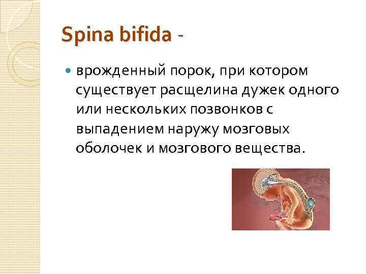 Spina bifida - врожденный порок, при котором существует расщелина дужек одного или нескольких позвонков