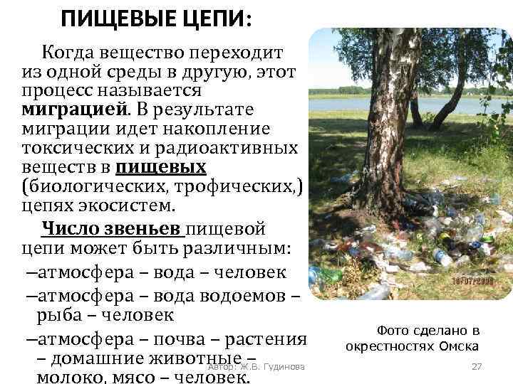 ПИЩЕВЫЕ ЦЕПИ: Когда вещество переходит из одной среды в другую, этот процесс называется миграцией.