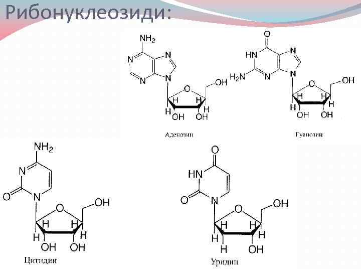 Рибонуклеозиди: 