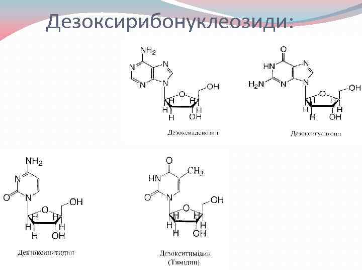 Дезоксирибонуклеозиди: 