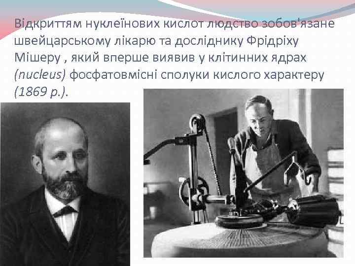 Відкриттям нуклеїнових кислот людство зобов'язане швейцарському лікарю та досліднику Фрідріху Мішеру , який вперше