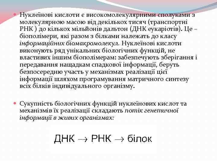  Нуклеїнові кислоти є високомолекулярними сполуками з молекулярною масою від декількох тисяч (транспортні РНК