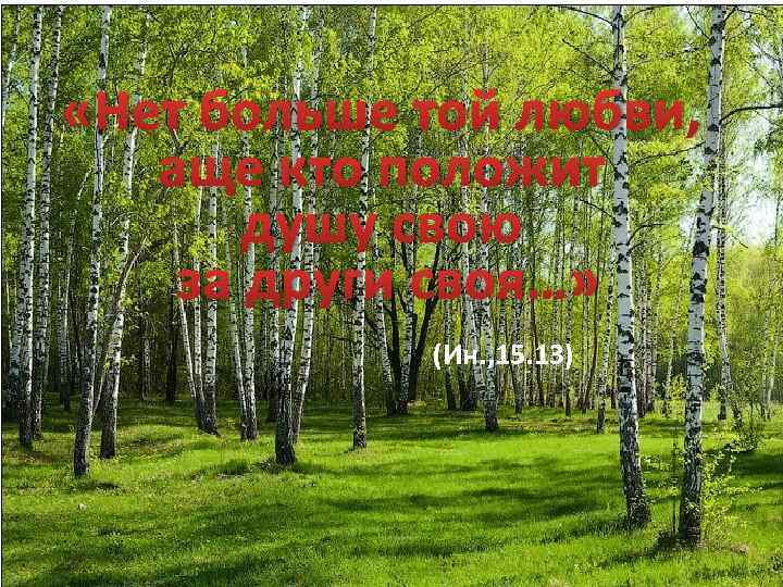  «Нет больше той любви, аще кто положит душу свою за други своя…» (Ин.