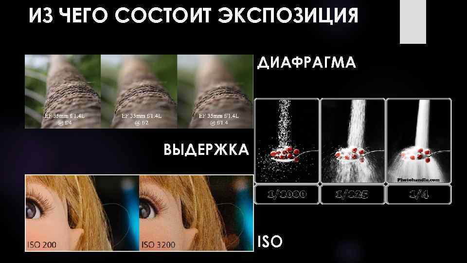 ИЗ ЧЕГО СОСТОИТ ЭКСПОЗИЦИЯ ДИАФРАГМА ВЫДЕРЖКА ISO 