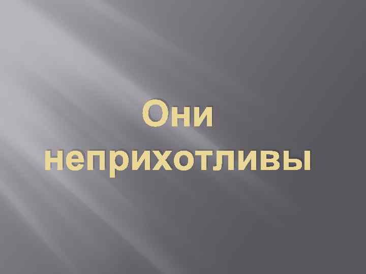 Они неприхотливы 