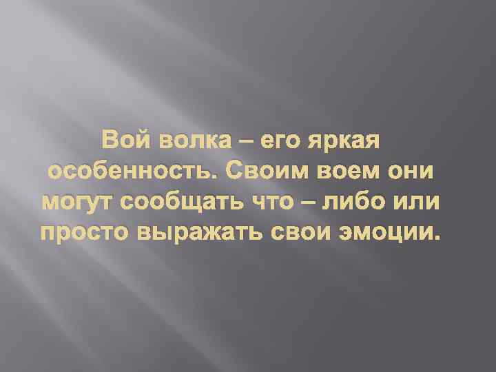 Вой волка – его яркая особенность. Своим воем они могут сообщать что – либо