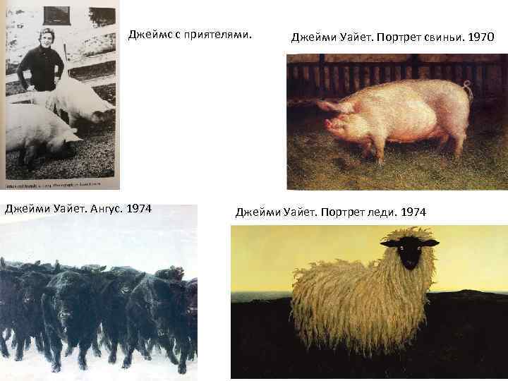Джеймс с приятелями. Джейми Уайет. Ангус. 1974 Джейми Уайет. Портрет свиньи. 1970 Джейми Уайет.