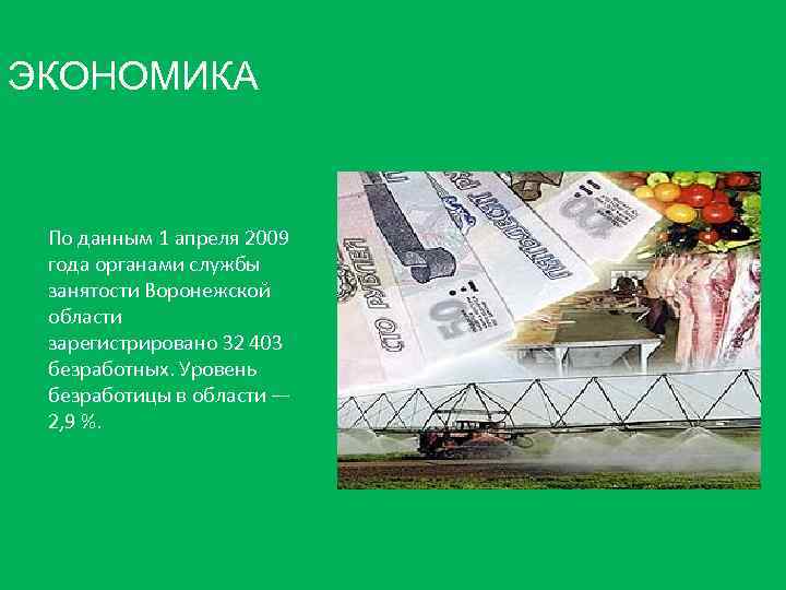 ЭКОНОМИКА По данным 1 апреля 2009 года органами службы занятости Воронежской области зарегистрировано 32