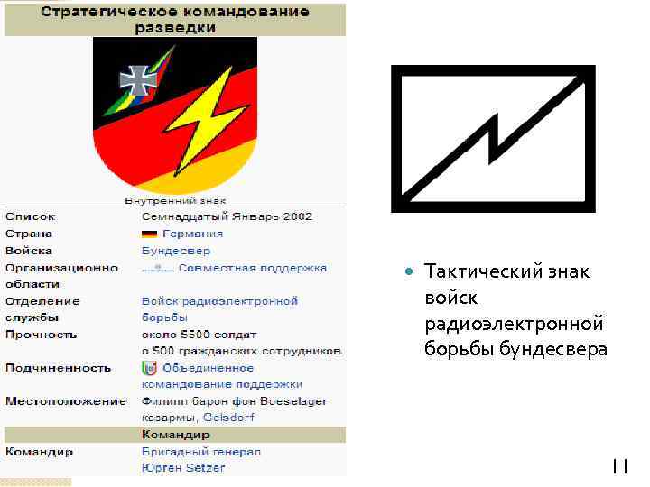  Тактический знак войск радиоэлектронной борьбы бундесвера 11 
