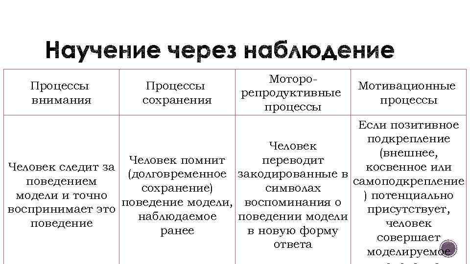 Процессы внимания Процессы сохранения Моторорепродуктивные процессы Мотивационные процессы Если позитивное подкрепление Человек (внешнее, Человек