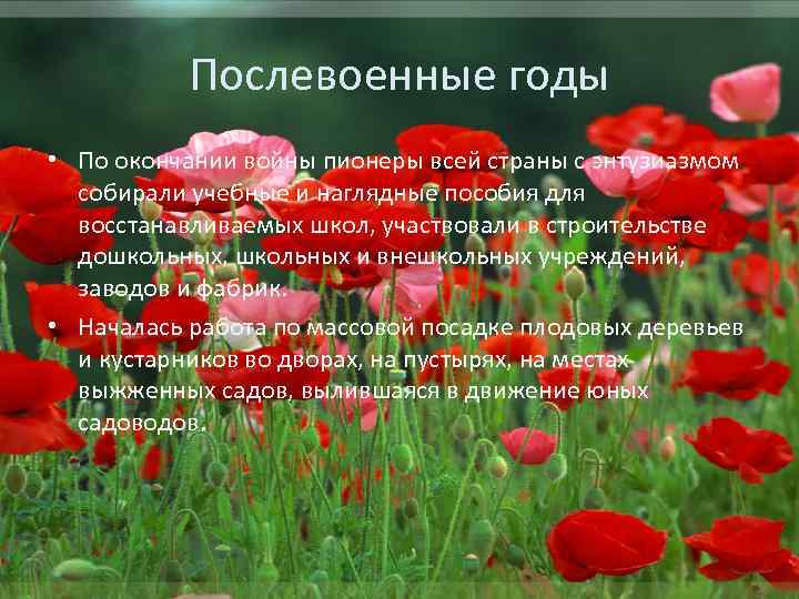 Послевоенные годы • По окончании войны пионеры всей страны с энтузиазмом собирали учебные и