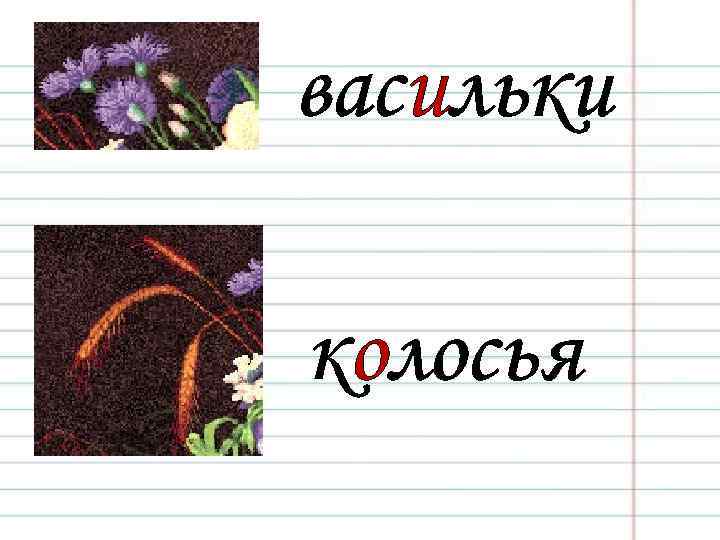 васильки колосья 