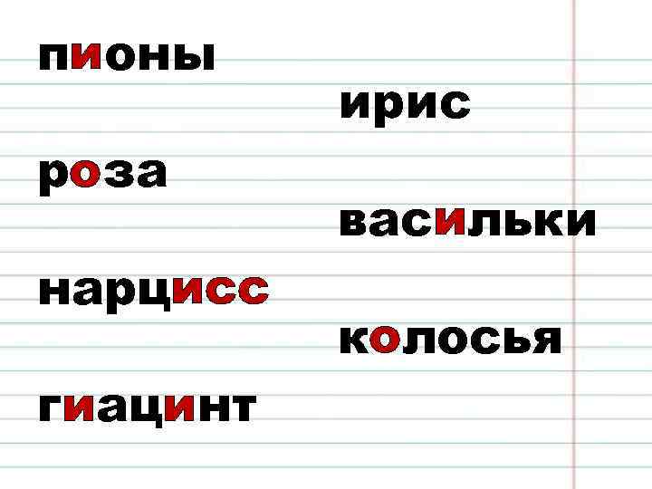 пионы роза нарцисс гиацинт ирис васильки колосья 