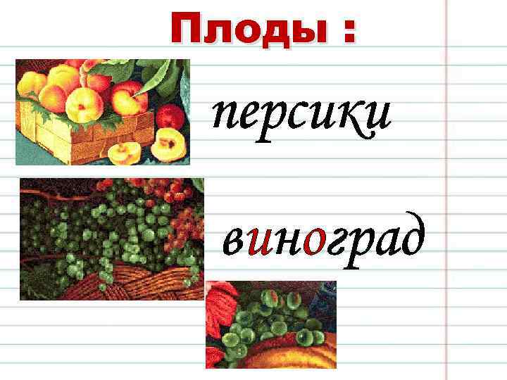 Плоды : персики виноград 