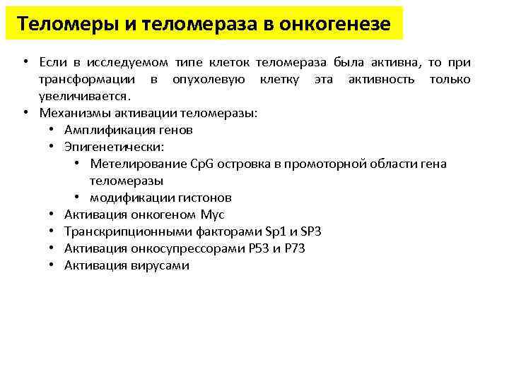 Теломеры и теломераза в онкогенезе • Если в исследуемом типе клеток теломераза была активна,