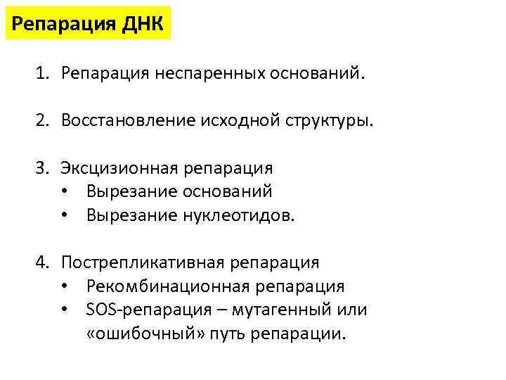 Репарация ДНК 1. Репарация неспаренных оснований. 2. Восстановление исходной структуры. 3. Эксцизионная репарация •