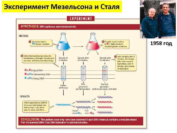 Мезельсон и сталь какие методы