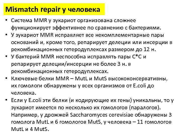 Mismatch repair у человека • Система MMR у эукариот организована сложнее функционирует эффективнее по