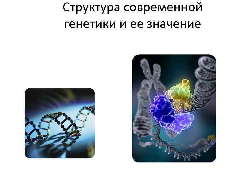 Структура современной генетики и ее значение 