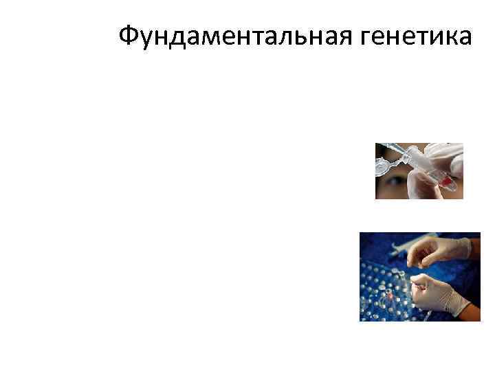 Фундаментальная генетика 