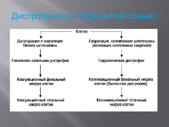 Диспротеинозы (паренхиматозные): 