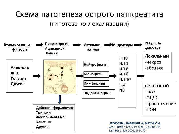 Схема патогенеза острого панкреатита (гипотеза ко-локализации) Этиологические факторы Повреждение Ацинарной клетки Активация клеток Медиаторы