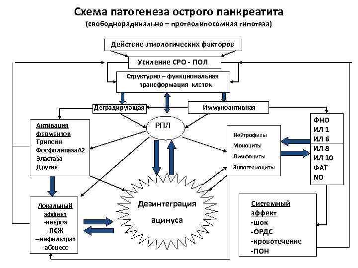 Патогенез острой. Патогенез острого панкреатита схема. Патогенетические стадии острого панкреатита. Основные звенья патогенеза острого панкреатита. К механизмам развития острого панкреатита относятся.