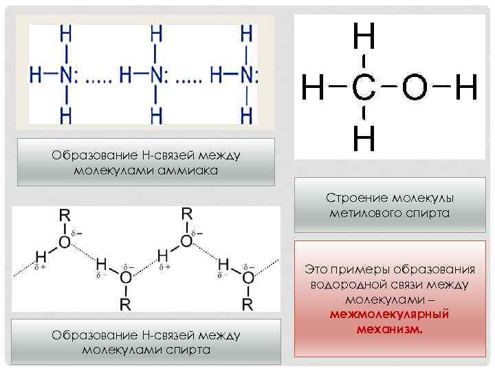 Водородная связь образуется между