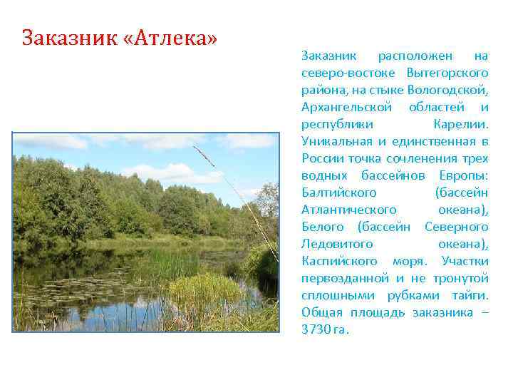 Заказник «Атлека» Заказник расположен на северо-востоке Вытегорского района, на стыке Вологодской, Архангельской областей и