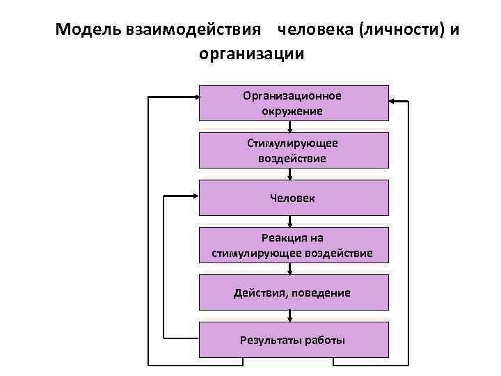 Модель взаимодействия человека (личности) и организации Организационное окружение Стимулирующее воздействие Человек Реакция на стимулирующее