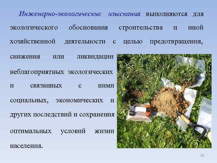 Инженерно-экологические изыскания выполняются для экологического обоснования строительства и иной хозяйственной деятельности с целью предотвращения,