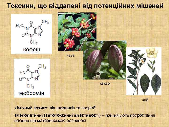 Токсини, що віддалені від потенційних мішеней кава какао чай хімічний захист від шкідників та