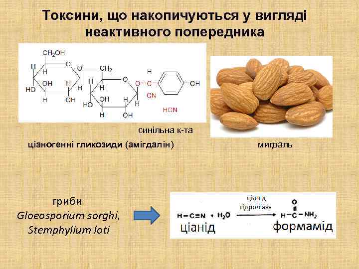 Токсини, що накопичуються у вигляді неактивного попередника синільна к-та ціаногенні гликозиди (амігдалін) гриби Gloeosporium