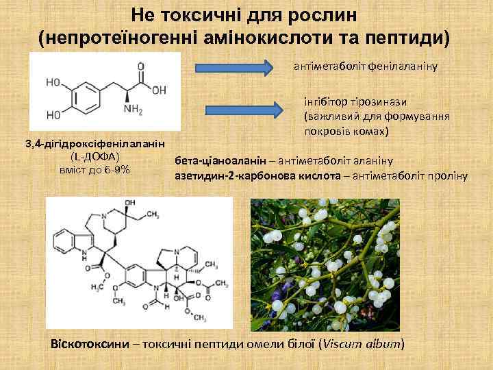 Не токсичні для рослин (непротеїногенні амінокислоти та пептиди) антіметаболіт фенілаланіну інгібітор тірозинази (важливий для