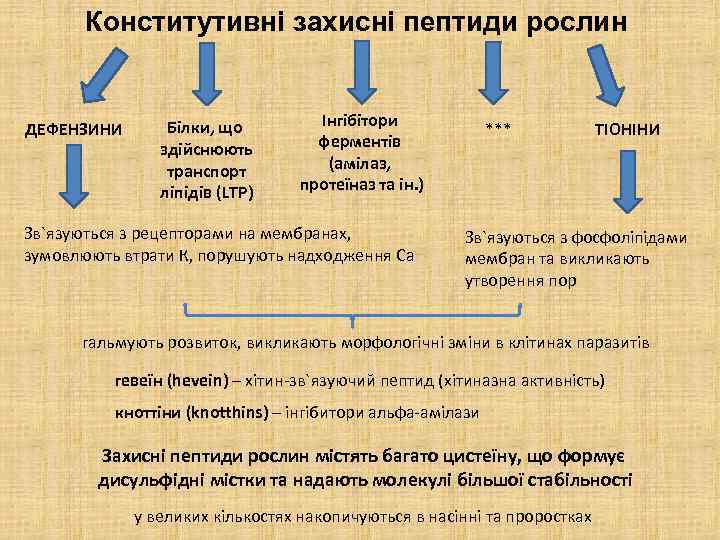 Конститутивні захисні пептиди рослин ДЕФЕНЗИНИ Білки, що здійснюють транспорт ліпідів (LTP) Інгібітори ферментів (амілаз,